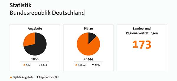 Grafik mit Statistiken zum Boys'Day 2021