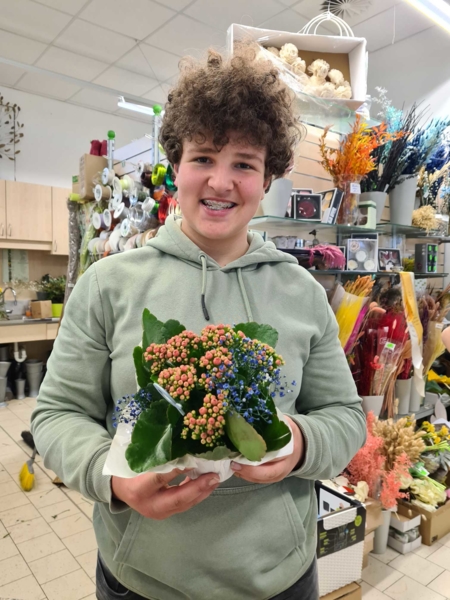 Boys'Day-Teilnehmer im Blumenladen mit bunter Pflanze