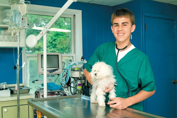 Junger Tierarzt mit einem Hund in einer Tierarztpraxis