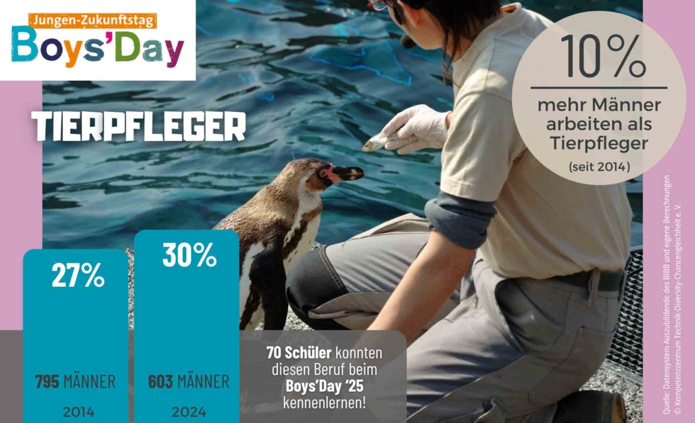 Grafik zum Männeranteil von Tierpflegern