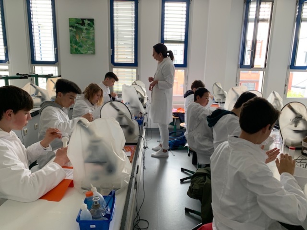 Boys'Day-Teilnehmer in PTA-Schule an Mikroskopen